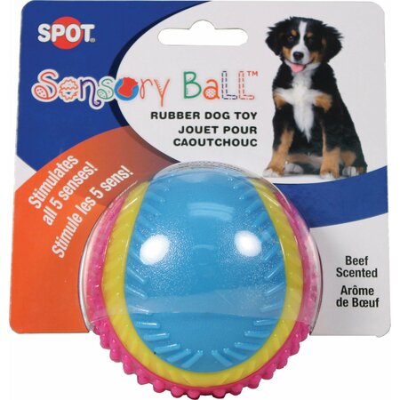 ETHICAL DOG Ethical Spot Sensory Ball Dog Toy 356662